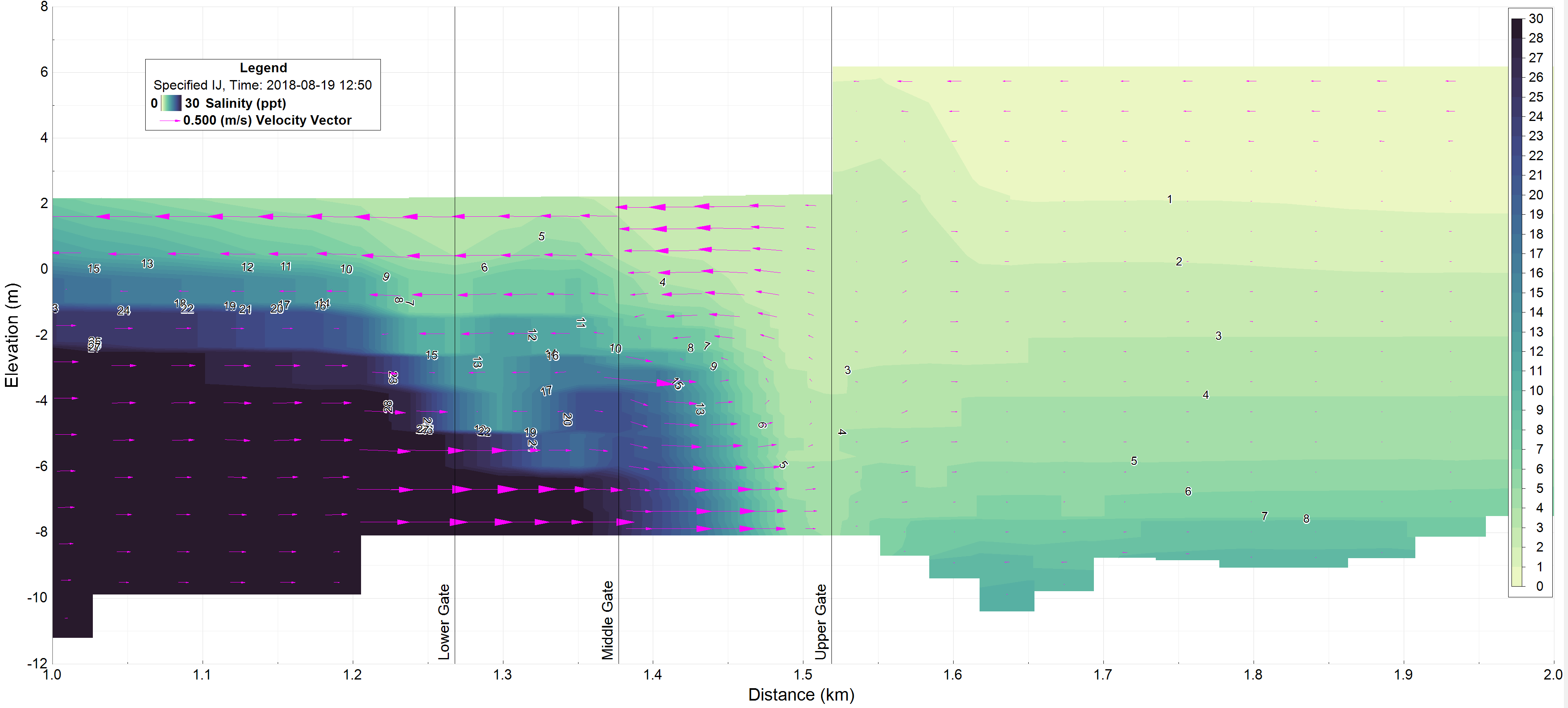 Figure 7. Vertical cross-section of salinity and velocity through the Ballard Locks.