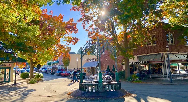 Downtown Edmonds fountain surrounded by autumn leaves at sunrise