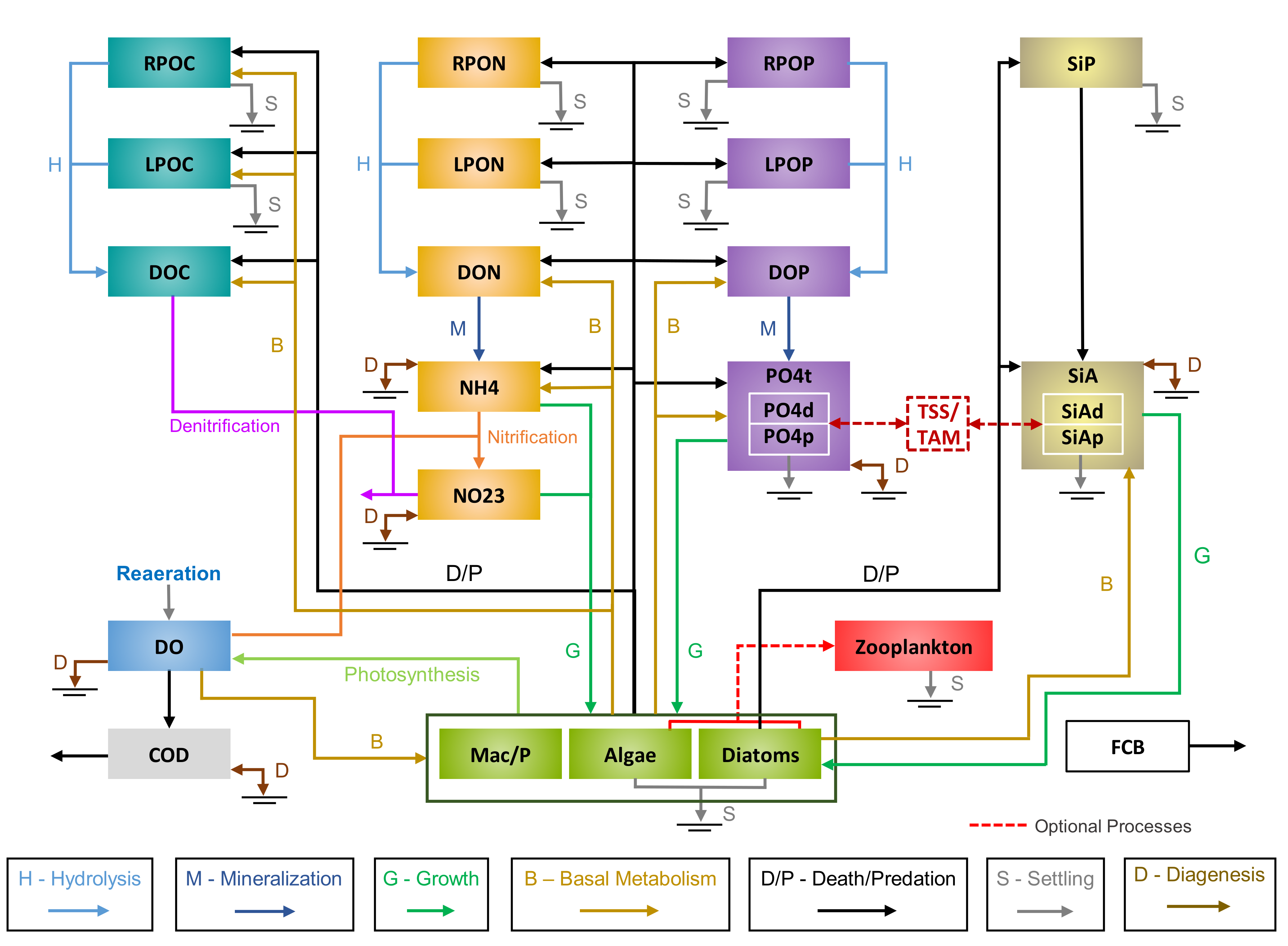 Diagram of the 21 water quality state variables and the kinetic pathways between them, colour-coded by process: hydrolysis, mineralization, growth, basal metabolism, death and predation, settling, and diagenesis.