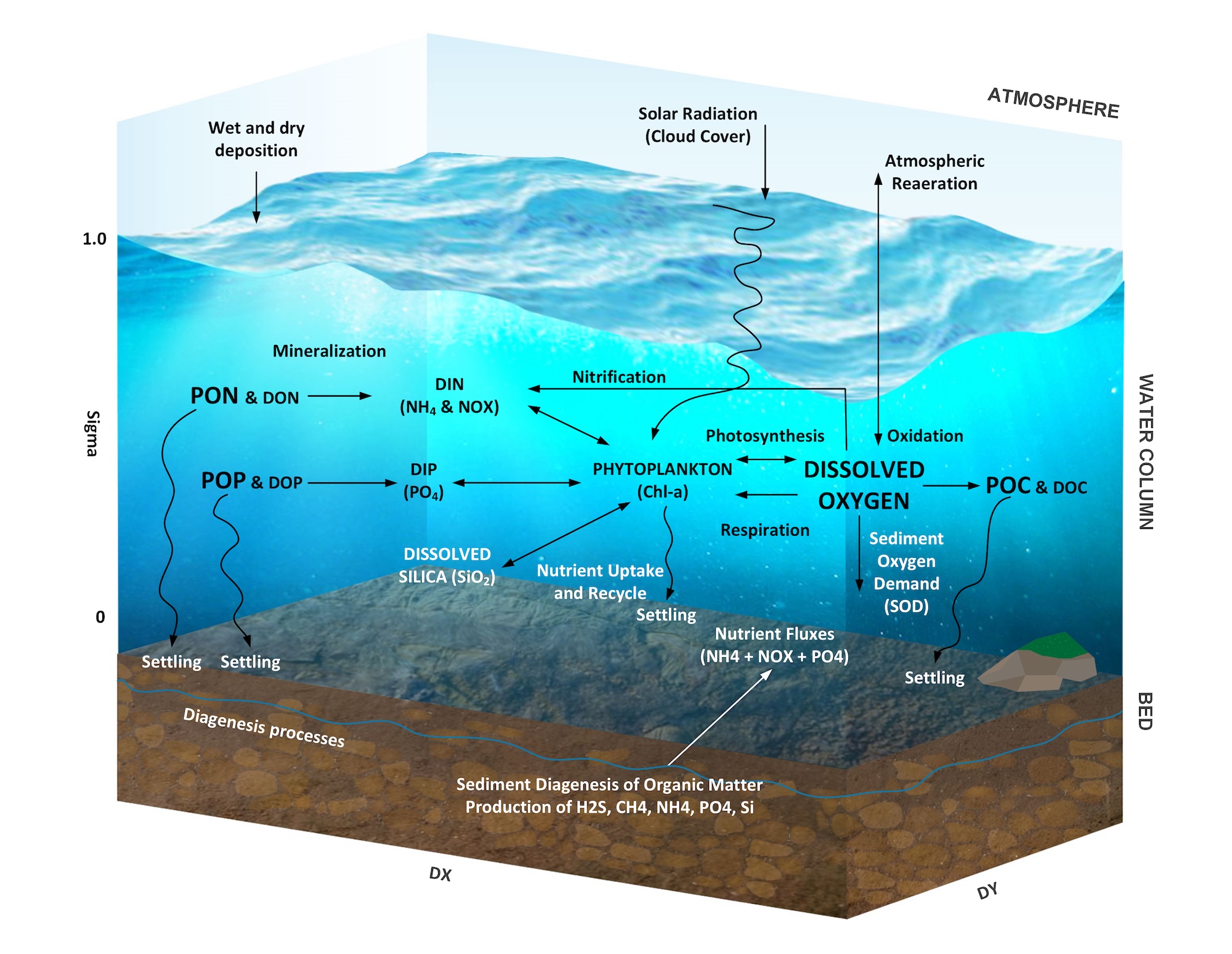 Water quality conceptual framework, showing solar radiation, atmospheric reaeration, wet and dry deposition, nitrogen and phosphorus cycling, phytoplankton photosynthesis and respiration, dissolved oxygen, settling, sediment oxygen demand, and diagenesis processes in the bed.