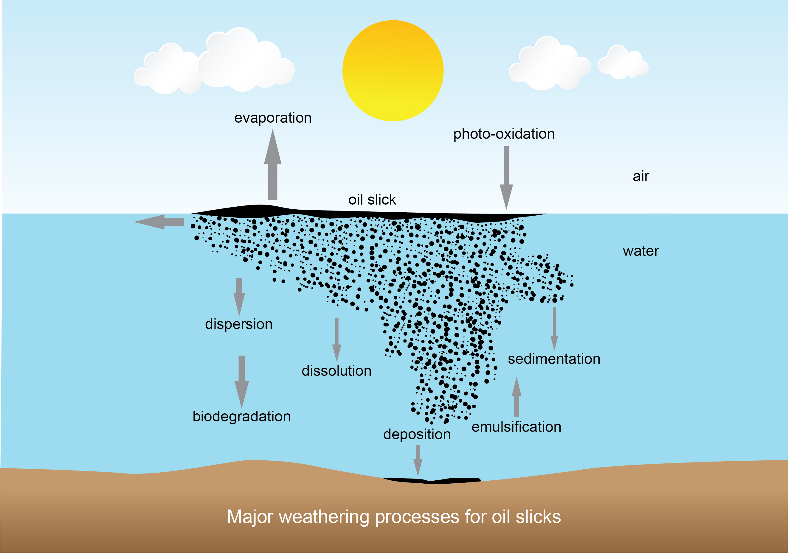 Major weathering processes acting on an oil slick: evaporation and photo-oxidation at the surface, and dispersion, dissolution, biodegradation, emulsification, sedimentation, and deposition in the water column and at the bed.