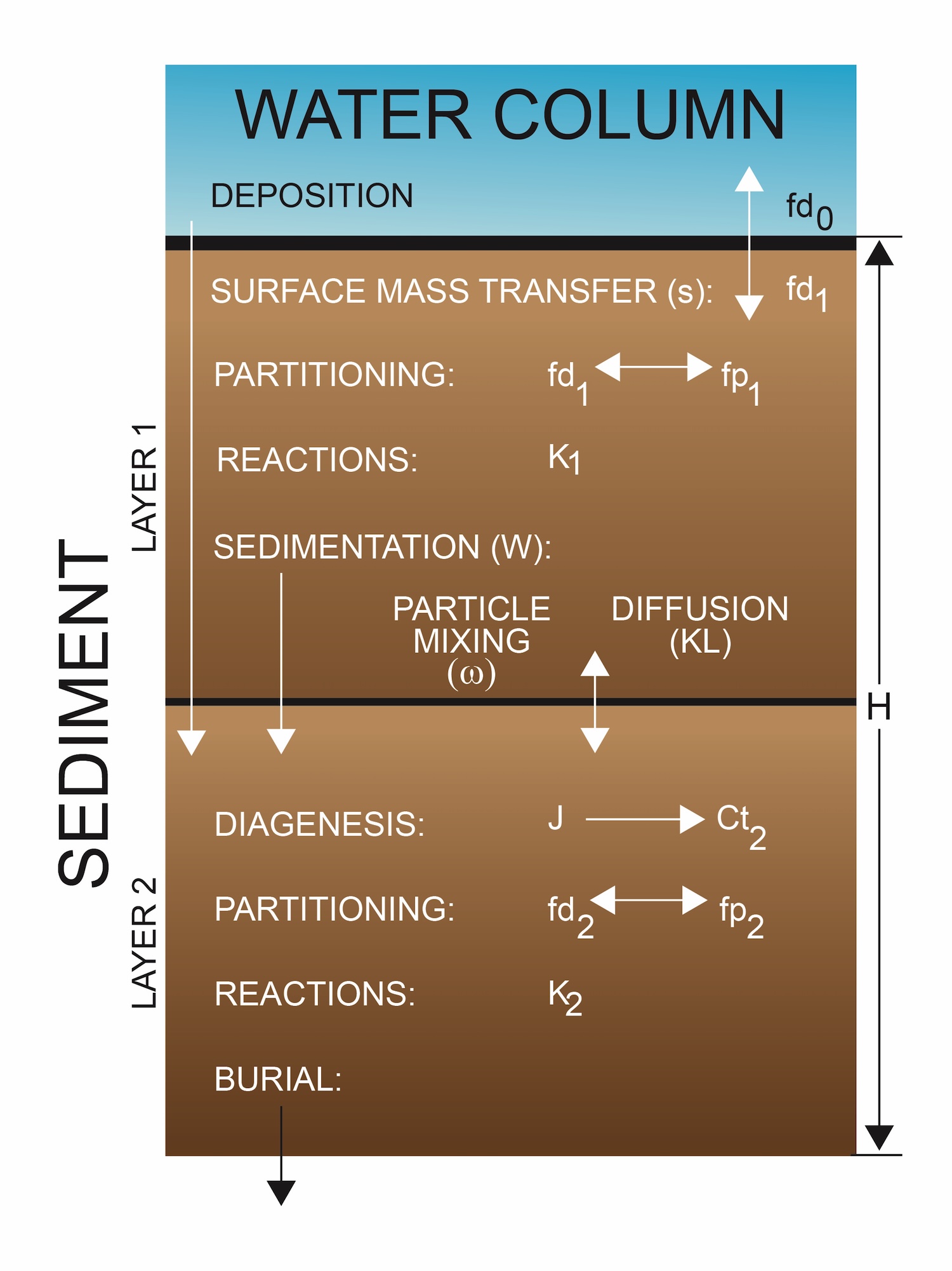 Sediment layers and processes in the diagenesis model, showing deposition from the water column, surface mass transfer, partitioning, reactions, sedimentation, particle mixing and diffusion in layer 1, and diagenesis, partitioning, reactions and burial in layer 2.